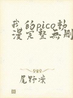 我的pico动漫完整无删减