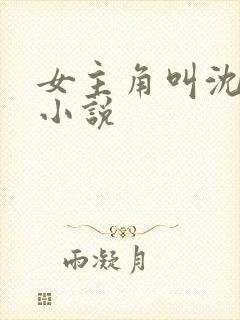 女主角叫沈妩的小说