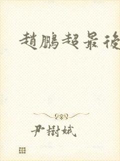 赵鹏超最后结局