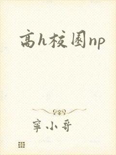 高h校园np