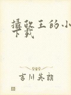 摄政王的小闲妻下载封面