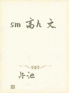 sm 高h 文封面