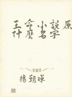 王命小说原著叫什么名字