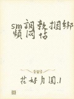 sm调教捆绑视频网站