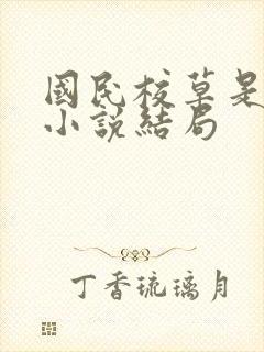 国民校草是女生小说结局封面