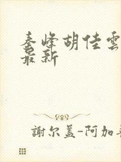 秦峰胡佳云正版最新