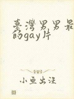 台湾男男最刺激的gay片