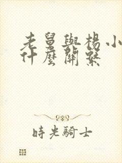 老舅与杨小姐是什么关系