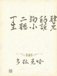 丁二狗的肆意人生听小说免费