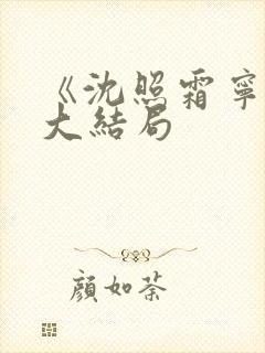 《沈照霜宁砚》大结局