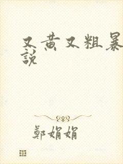 又黄又粗暴的小说