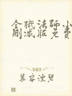 全职法师小说无删减版免费阅读