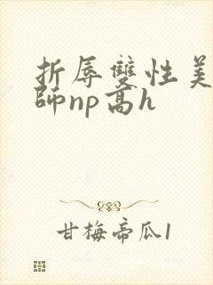 折辱双性美人军师np高h
