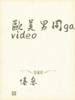 欧美男同gayvideo
