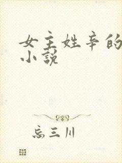 女主姓辛的现代小说