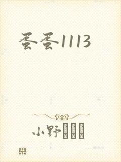 蛋蛋1113封面