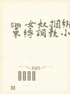 sm 女奴捆绑束缚调教小说