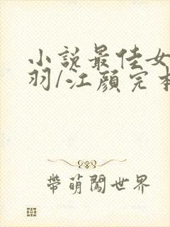小说最佳女婿林羽/江颜完本
