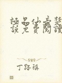 极品仙帝楚风小说免费阅读