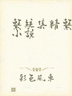 系统集精系统 小说