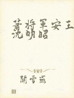 萧将军安王侧妃沈明昭