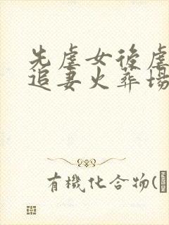 先虐女后虐男的追妻火葬场现言