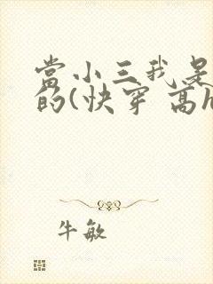当小三我是专业的(快穿 高h)