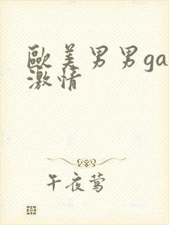 欧美男男gay激情