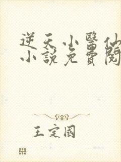 逆天小医仙陈平小说免费阅读
