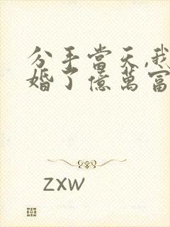 分手当天,我闪婚了亿万富豪全集小说