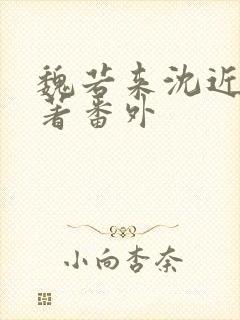 魏若来沈近真原著番外