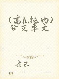 (高h,纯肉)公交车文