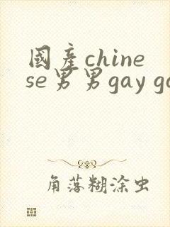 国产chinese男男gay gay网站封面
