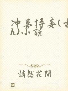 冲喜侍妾(古言h)小说