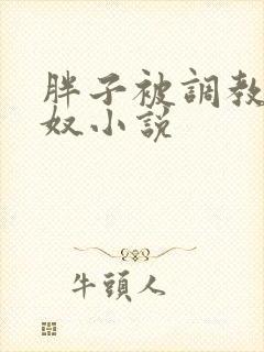 胖子被调教成肉奴小说封面