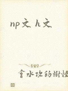 np文 h文