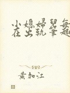 小媳妇儿每天都在出轨笔趣阁小说封面