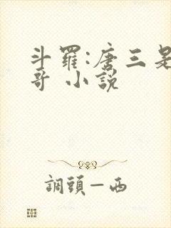 斗罗:唐三是我哥 小说