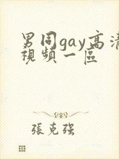 男同gay高清视频一区封面