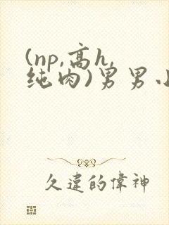 (np,高h,纯肉)男男小说封面
