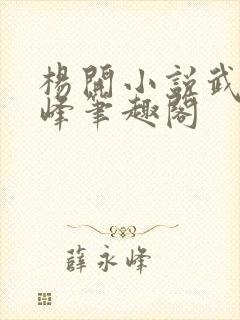 杨开小说武炼巅峰笔趣阁