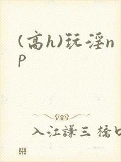 (高h)玩淫np