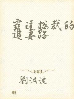 霸道总裁的漫漫追妻路
