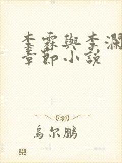 李霖与李澜最新章节小说