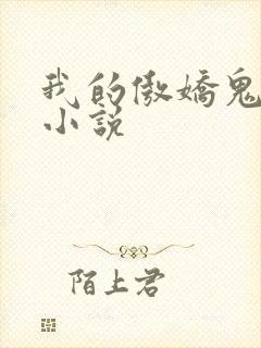 我的傲娇鬼夫 小说封面