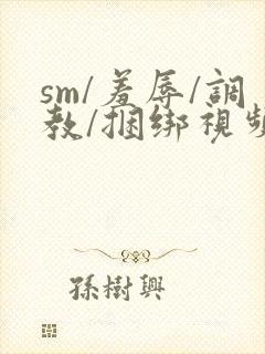 sm/羞辱/调教/捆绑视频