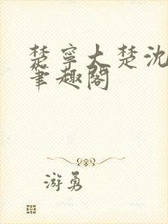 楚宁大楚沈婉莹笔趣阁