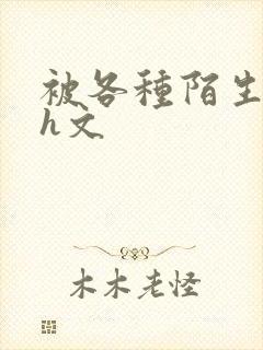 被各种陌生人强h文