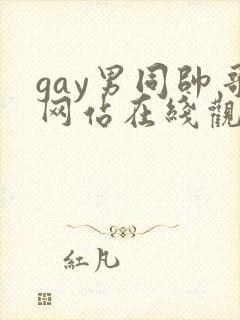 gay男同帅哥网站在线观看