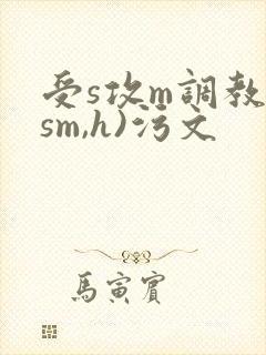 受s攻m调教(sm,h)污文